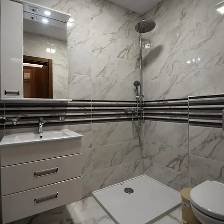 Apartment Zivanovic Palace *